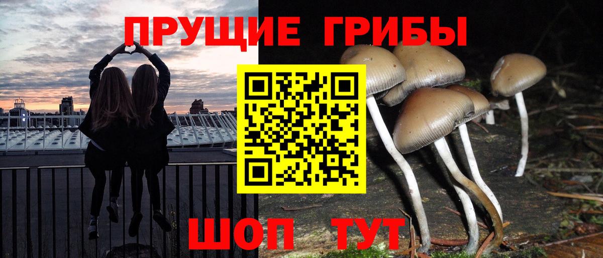 продажа наркотиков  Галлюциногенные грибы GOLDEN TEACHER  Вход с VPN  Алексин 